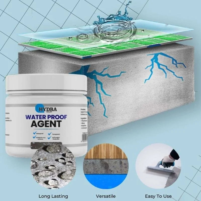 Hydra Waterproof Agent | Instant Water Tight Sealing Solution for Wall & Floor | With Brush | 250g